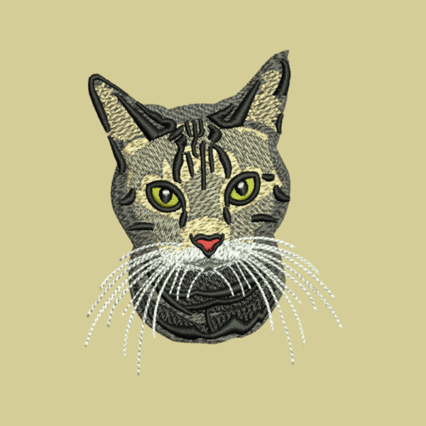 Playful Cat