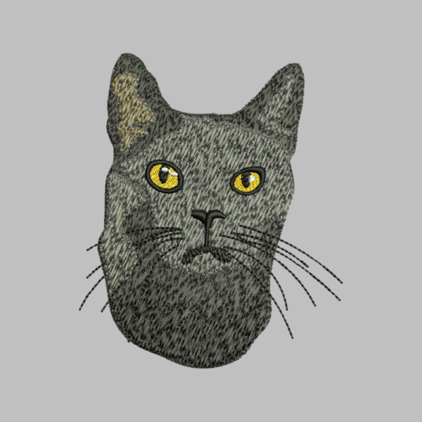 Angry Cat Face